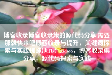 博客收录博客收录集的源代码分享,需要那就快来吧博客收录与提升，关键词探索与实践蜘蛛池TG：zzcseo，博客收录集分享，源代码探索与实践