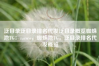 泛目录泛目录排名代发泛目录概览蜘蛛池TG：zzcseo，蜘蛛池TG，泛目录排名代发概览