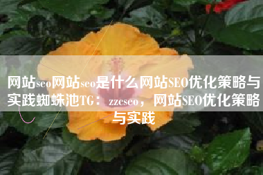 网站seo网站seo是什么网站SEO优化策略与实践蜘蛛池TG：zzcseo，网站SEO优化策略与实践
