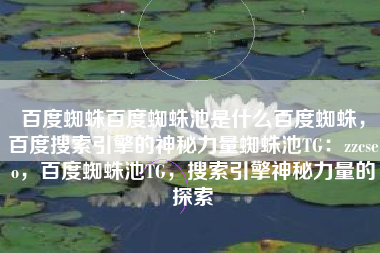 百度蜘蛛百度蜘蛛池是什么百度蜘蛛，百度搜索引擎的神秘力量蜘蛛池TG：zzcseo，百度蜘蛛池TG，搜索引擎神秘力量的探索