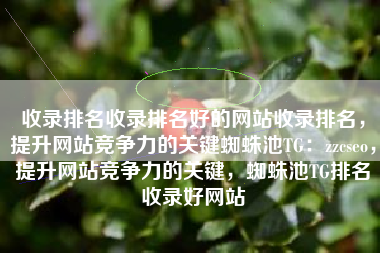 收录排名收录排名好的网站收录排名，提升网站竞争力的关键蜘蛛池TG：zzcseo，提升网站竞争力的关键，蜘蛛池TG排名收录好网站
