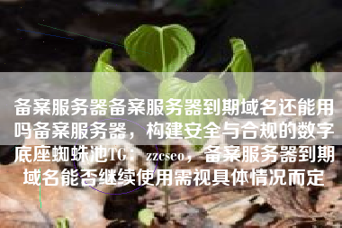 备案服务器备案服务器到期域名还能用吗备案服务器，构建安全与合规的数字底座蜘蛛池TG：zzcseo，备案服务器到期域名能否继续使用需视具体情况而定