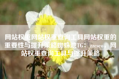 网站权重网站权重查询工具网站权重的重要性与提升策略蜘蛛池TG：zzcseo，网站权重查询工具与提升策略