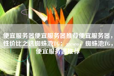 便宜服务器便宜服务器推荐便宜服务器，性价比之选蜘蛛池TG：zzcseo，蜘蛛池TG，便宜服务器推荐