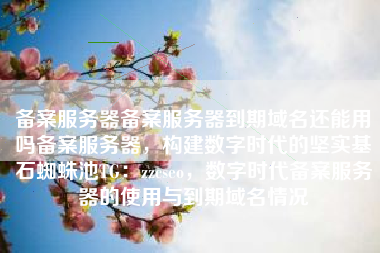 备案服务器备案服务器到期域名还能用吗备案服务器，构建数字时代的坚实基石蜘蛛池TG：zzcseo，数字时代备案服务器的使用与到期域名情况