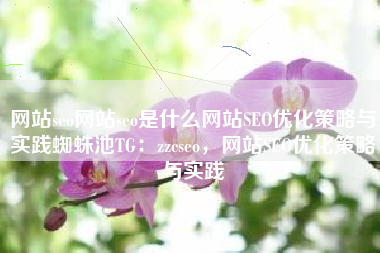 网站seo网站seo是什么网站SEO优化策略与实践蜘蛛池TG：zzcseo，网站SEO优化策略与实践