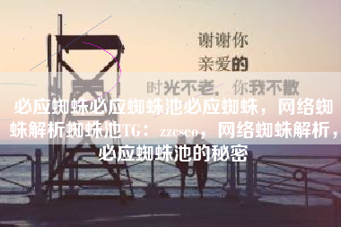 必应蜘蛛必应蜘蛛池必应蜘蛛，网络蜘蛛解析蜘蛛池TG：zzcseo，网络蜘蛛解析，必应蜘蛛池的秘密