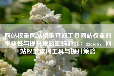 网站权重网站权重查询工具网站权重的重要性与提升策略蜘蛛池TG：zzcseo，网站权重查询工具与提升策略