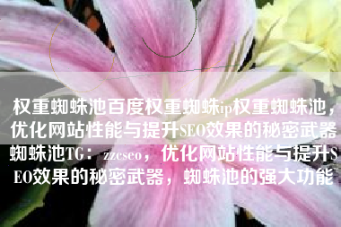 权重蜘蛛池百度权重蜘蛛ip权重蜘蛛池，优化网站性能与提升SEO效果的秘密武器蜘蛛池TG：zzcseo，优化网站性能与提升SEO效果的秘密武器，蜘蛛池的强大功能