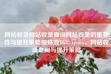 网站收录网站收录查询网站收录的重要性与提升策略蜘蛛池TG：zzcseo，网站收录查询与提升策略