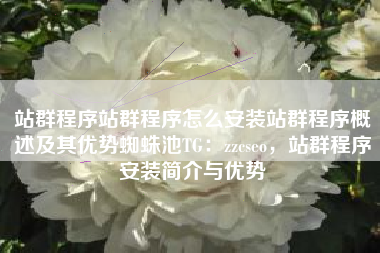 站群程序站群程序怎么安装站群程序概述及其优势蜘蛛池TG：zzcseo，站群程序安装简介与优势