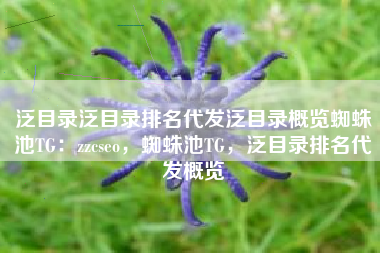 泛目录泛目录排名代发泛目录概览蜘蛛池TG：zzcseo，蜘蛛池TG，泛目录排名代发概览