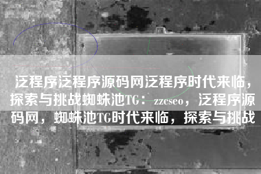 泛程序泛程序源码网泛程序时代来临，探索与挑战蜘蛛池TG：zzcseo，泛程序源码网，蜘蛛池TG时代来临，探索与挑战
