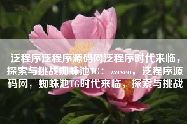 泛程序泛程序源码网泛程序时代来临，探索与挑战蜘蛛池TG：zzcseo，泛程序源码网，蜘蛛池TG时代来临，探索与挑战