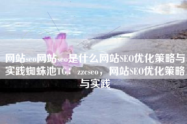 网站seo网站seo是什么网站SEO优化策略与实践蜘蛛池TG：zzcseo，网站SEO优化策略与实践