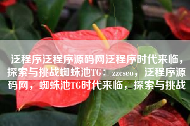 泛程序泛程序源码网泛程序时代来临，探索与挑战蜘蛛池TG：zzcseo，泛程序源码网，蜘蛛池TG时代来临，探索与挑战