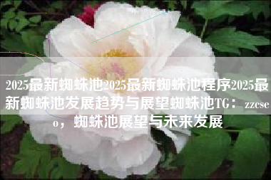 2025最新蜘蛛池2025最新蜘蛛池程序2025最新蜘蛛池发展趋势与展望蜘蛛池TG：zzcseo，蜘蛛池展望与未来发展