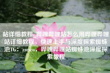 站详细教程_哔哩哔哩站怎么用哔哩哔哩站详细教程，快速上手与深度探索蜘蛛池TG：zzcseo，哔哩哔哩站蜘蛛池深度探索教程