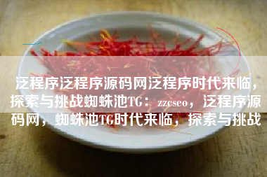 泛程序泛程序源码网泛程序时代来临，探索与挑战蜘蛛池TG：zzcseo，泛程序源码网，蜘蛛池TG时代来临，探索与挑战