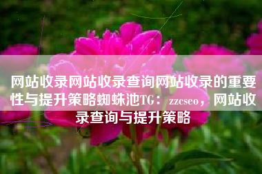 网站收录网站收录查询网站收录的重要性与提升策略蜘蛛池TG：zzcseo，网站收录查询与提升策略