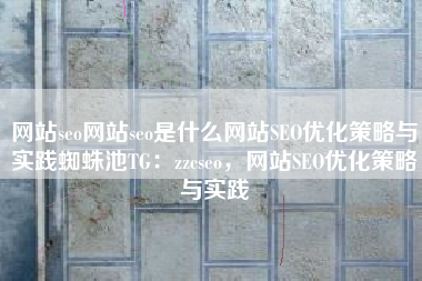 网站seo网站seo是什么网站SEO优化策略与实践蜘蛛池TG：zzcseo，网站SEO优化策略与实践