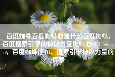 百度蜘蛛百度蜘蛛池是什么百度蜘蛛，百度搜索引擎的神秘力量蜘蛛池TG：zzcseo，百度蜘蛛池TG，搜索引擎神秘力量的探索