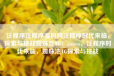 泛程序泛程序源码网泛程序时代来临，探索与挑战蜘蛛池TG：zzcseo，泛程序时代来临，蜘蛛池TG探索与挑战