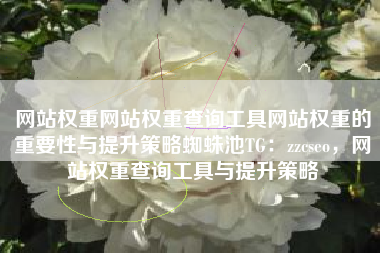 网站权重网站权重查询工具网站权重的重要性与提升策略蜘蛛池TG：zzcseo，网站权重查询工具与提升策略