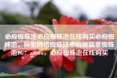 必应蜘蛛池必应蜘蛛池在线购买必应蜘蛛池，探索网络蜘蛛技术的新篇章蜘蛛池TG：zzcseo，必应蜘蛛池在线购买