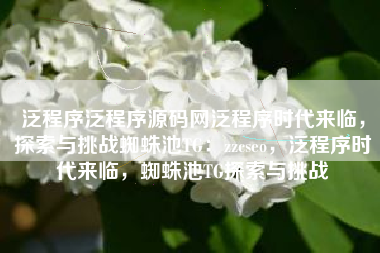 泛程序泛程序源码网泛程序时代来临，探索与挑战蜘蛛池TG：zzcseo，泛程序时代来临，蜘蛛池TG探索与挑战