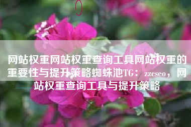 网站权重网站权重查询工具网站权重的重要性与提升策略蜘蛛池TG：zzcseo，网站权重查询工具与提升策略