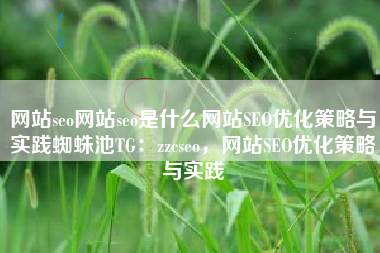 网站seo网站seo是什么网站SEO优化策略与实践蜘蛛池TG：zzcseo，网站SEO优化策略与实践