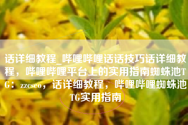 话详细教程_哔哩哔哩话话技巧话详细教程，哔哩哔哩平台上的实用指南蜘蛛池TG：zzcseo，话详细教程，哔哩哔哩蜘蛛池TG实用指南