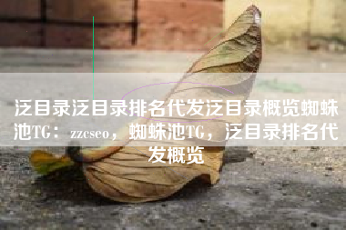 泛目录泛目录排名代发泛目录概览蜘蛛池TG：zzcseo，蜘蛛池TG，泛目录排名代发概览
