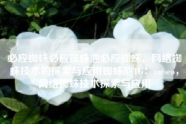 必应蜘蛛必应蜘蛛池必应蜘蛛，网络蜘蛛技术的探索与应用蜘蛛池TG：zzcseo，网络蜘蛛技术探索与应用