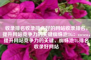 收录排名收录排名好的网站收录排名，提升网站竞争力的关键蜘蛛池TG：zzcseo，提升网站竞争力的关键，蜘蛛池TG排名收录好网站