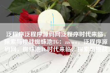 泛程序泛程序源码网泛程序时代来临，探索与挑战蜘蛛池TG：zzcseo，泛程序源码网，蜘蛛池TG时代来临，探索与挑战