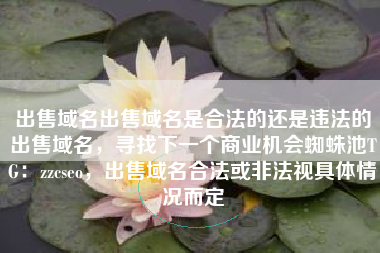 出售域名出售域名是合法的还是违法的出售域名，寻找下一个商业机会蜘蛛池TG：zzcseo，出售域名合法或非法视具体情况而定