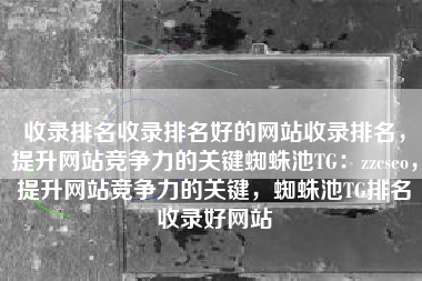 收录排名收录排名好的网站收录排名，提升网站竞争力的关键蜘蛛池TG：zzcseo，提升网站竞争力的关键，蜘蛛池TG排名收录好网站