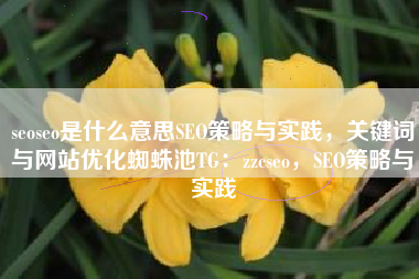 seoseo是什么意思SEO策略与实践，关键词与网站优化蜘蛛池TG：zzcseo，SEO策略与实践