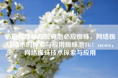 必应蜘蛛必应蜘蛛池必应蜘蛛，网络蜘蛛技术的探索与应用蜘蛛池TG：zzcseo，网络蜘蛛技术探索与应用