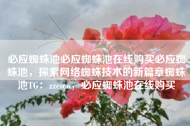 必应蜘蛛池必应蜘蛛池在线购买必应蜘蛛池，探索网络蜘蛛技术的新篇章蜘蛛池TG：zzcseo，必应蜘蛛池在线购买