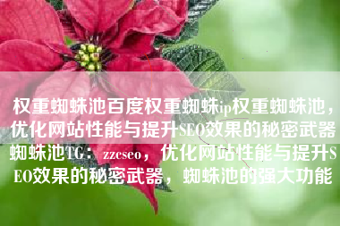 权重蜘蛛池百度权重蜘蛛ip权重蜘蛛池，优化网站性能与提升SEO效果的秘密武器蜘蛛池TG：zzcseo，优化网站性能与提升SEO效果的秘密武器，蜘蛛池的强大功能