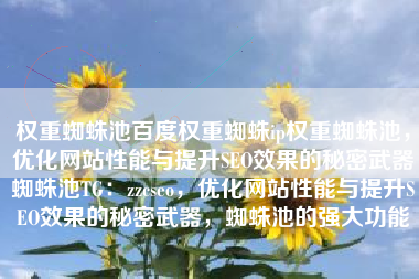 权重蜘蛛池百度权重蜘蛛ip权重蜘蛛池，优化网站性能与提升SEO效果的秘密武器蜘蛛池TG：zzcseo，优化网站性能与提升SEO效果的秘密武器，蜘蛛池的强大功能