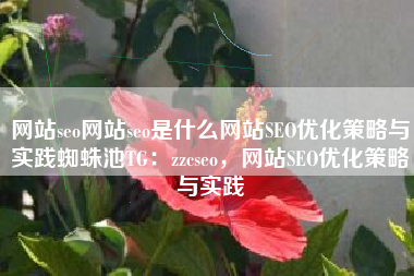 网站seo网站seo是什么网站SEO优化策略与实践蜘蛛池TG：zzcseo，网站SEO优化策略与实践