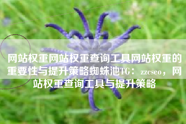 网站权重网站权重查询工具网站权重的重要性与提升策略蜘蛛池TG：zzcseo，网站权重查询工具与提升策略