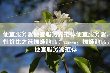 便宜服务器便宜服务器推荐便宜服务器，性价比之选蜘蛛池TG：zzcseo，蜘蛛池TG，便宜服务器推荐