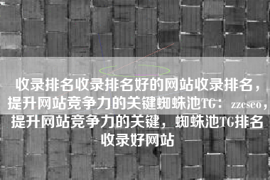 收录排名收录排名好的网站收录排名，提升网站竞争力的关键蜘蛛池TG：zzcseo，提升网站竞争力的关键，蜘蛛池TG排名收录好网站