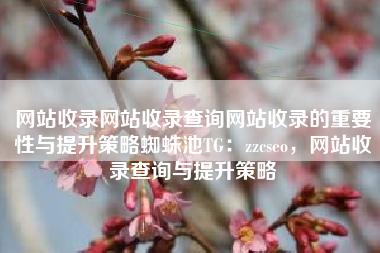 网站收录网站收录查询网站收录的重要性与提升策略蜘蛛池TG：zzcseo，网站收录查询与提升策略