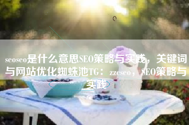 seoseo是什么意思SEO策略与实践，关键词与网站优化蜘蛛池TG：zzcseo，SEO策略与实践